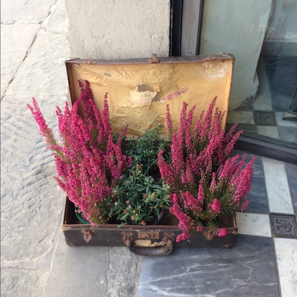 Meet your Posher, Amanda - Picture 1 of 1